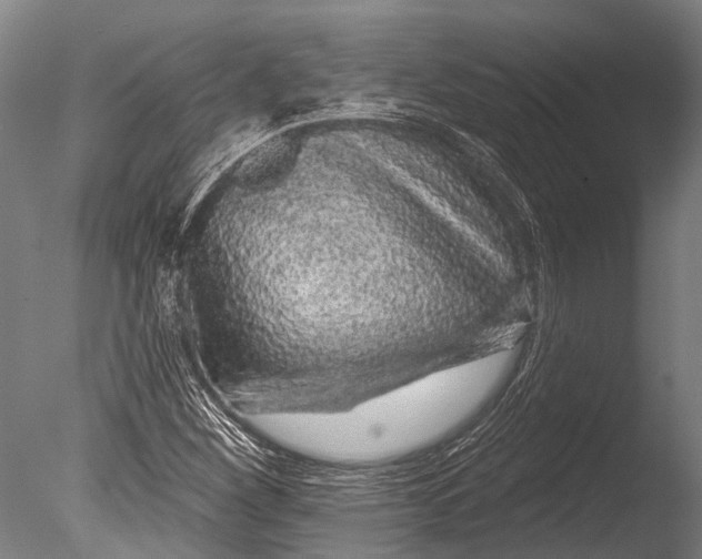 X0000085061260200703261155