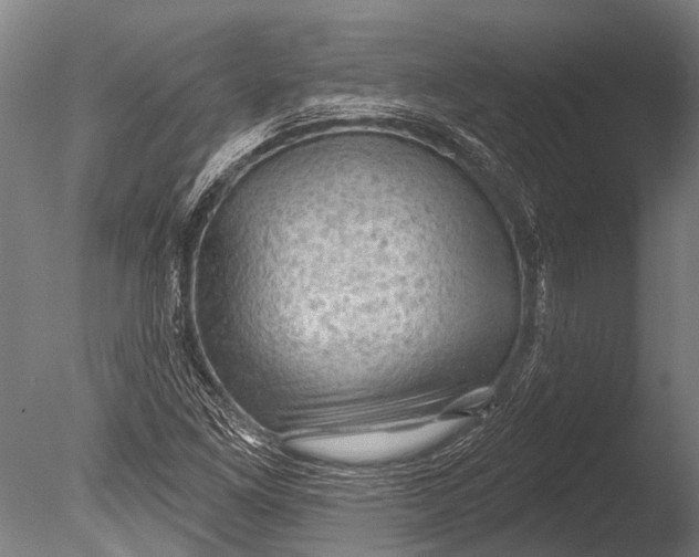 X0000085061261200703261155