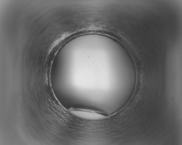 X0000085061262200703261155