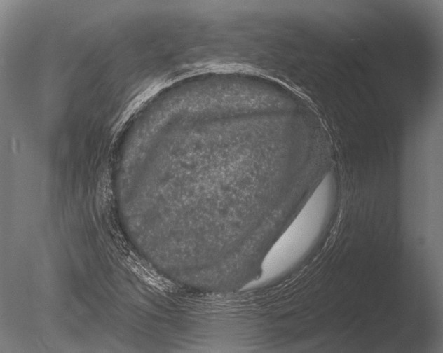 X0000085061263200703261155