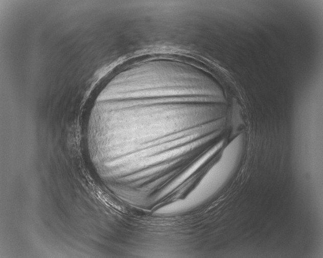 X0000085061264200703261155