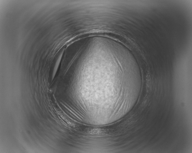 X0000085061265200703261155