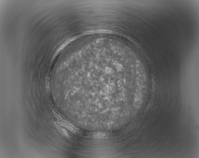 X0000085061266200703261155