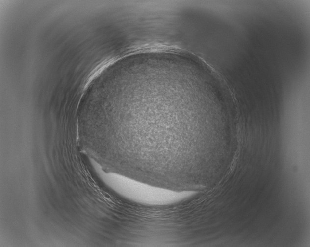 X0000085061267200703261155