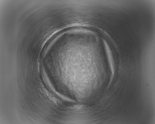 X0000085061268200703261155