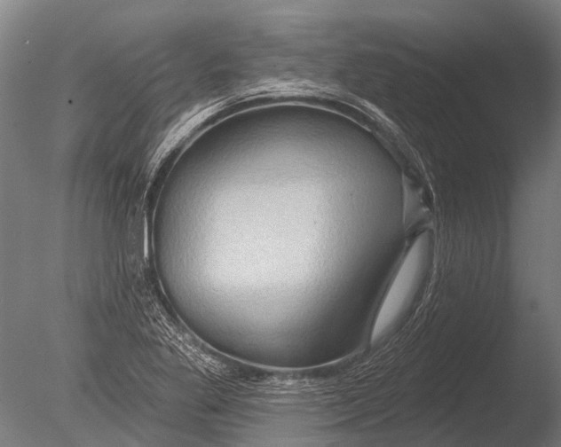 X0000085061269200703261155