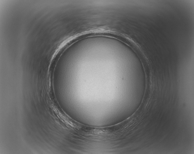 X0000085061270200703261155