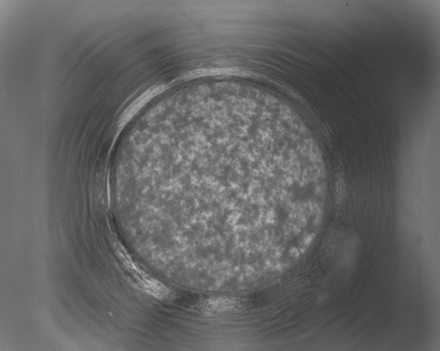 X0000085061274200703261155