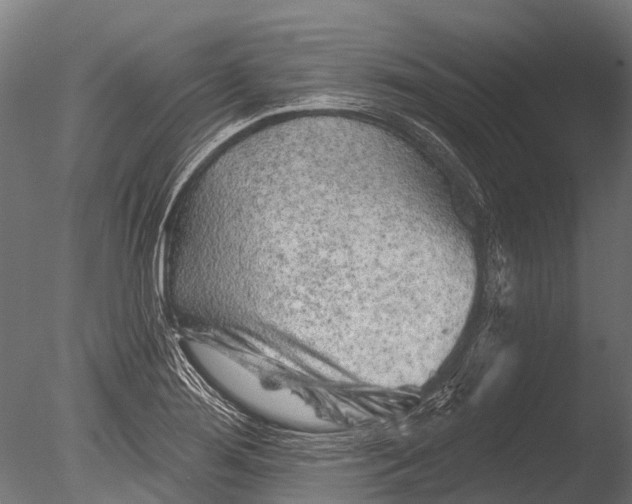 X0000085061276200703261155