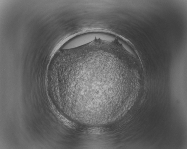 X0000085061279200703261155