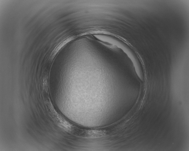 X0000085061281200703261155