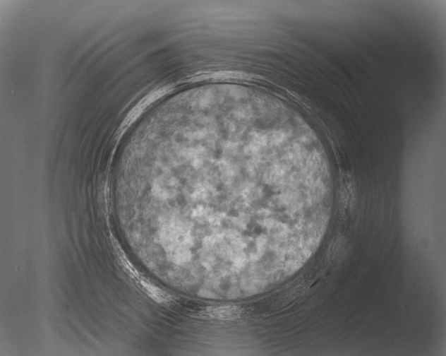 X0000085061282200703261155