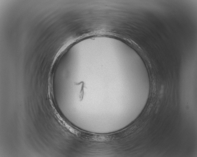 X0000085061286200703261155