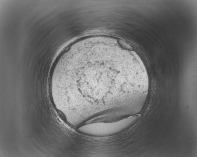 X0000085061288200703261154