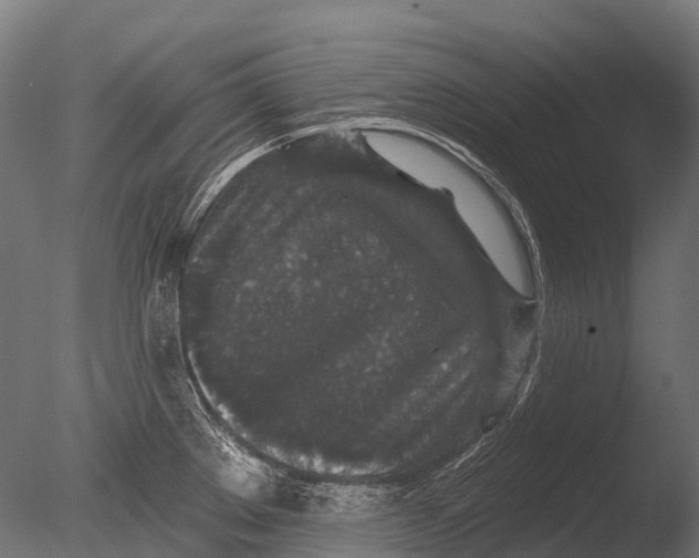 X0000085061289200703261154