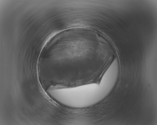 X0000085061291200703261154