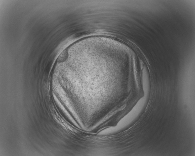 X0000085061292200703261154