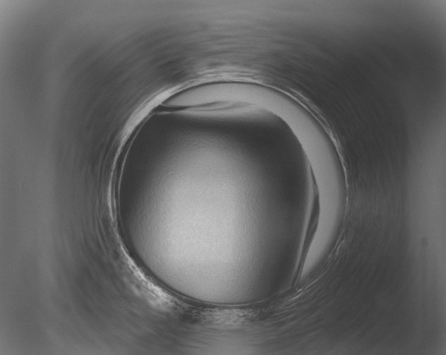 X0000085061293200703261154