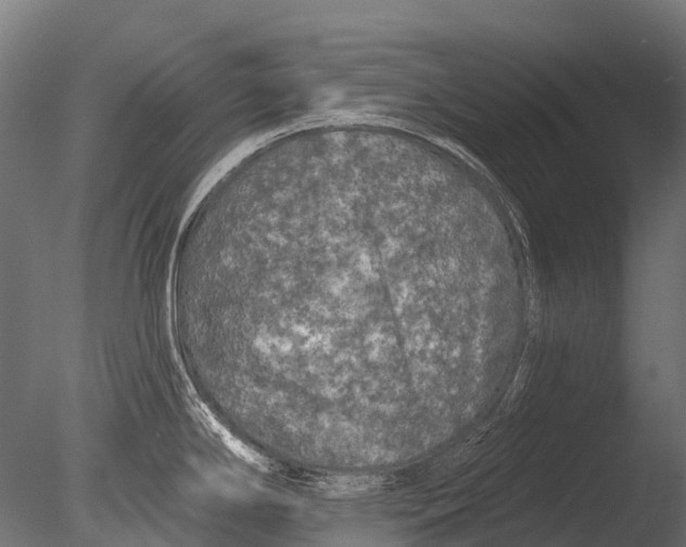 X0000085061294200703261154