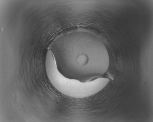 X0000085061298200703261154