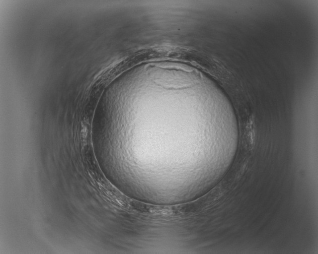 X0000085061302200703261154