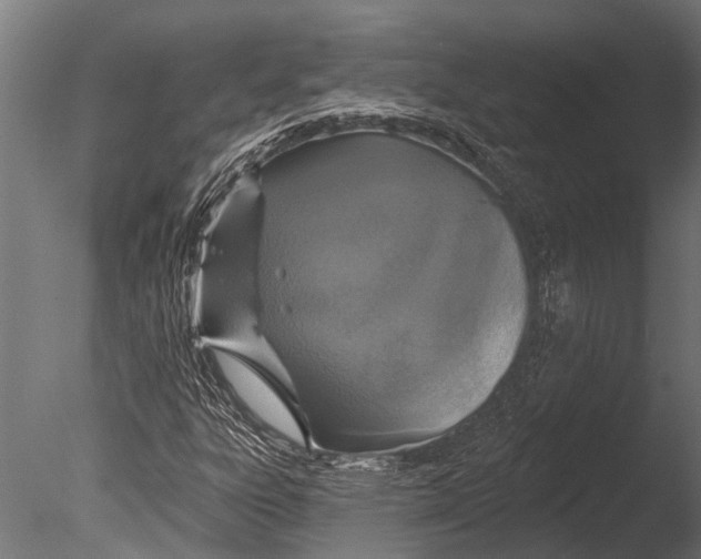 X0000085061303200703261154