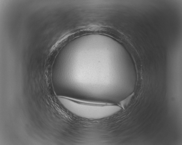 X0000085061304200703261154