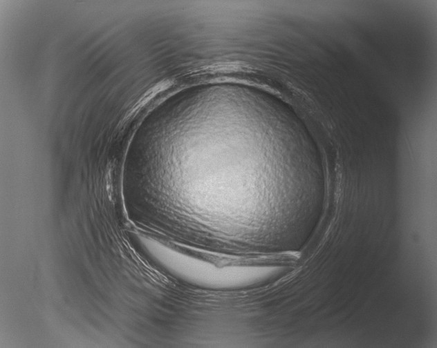 X0000085061305200703261154