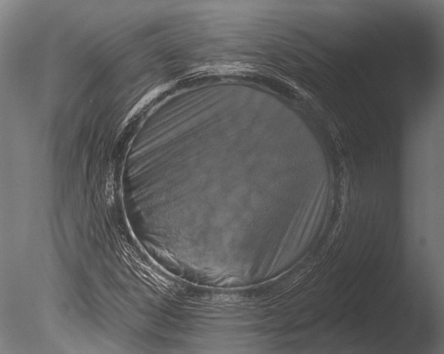 X0000085061306200703261154