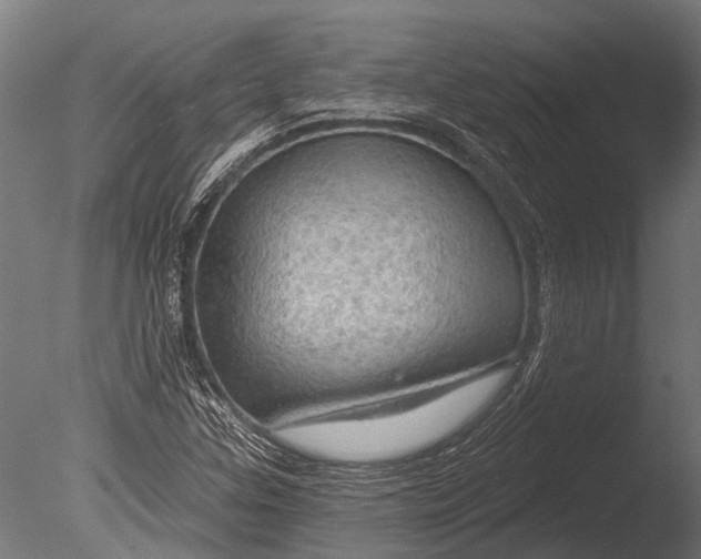 X0000085061307200703261154