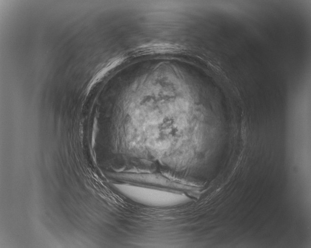 X0000085061309200703261154