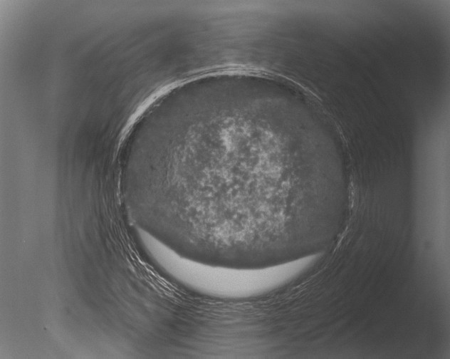 X0000085061310200703261154