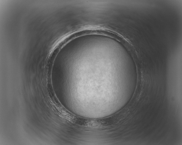 X0000085061311200703261154