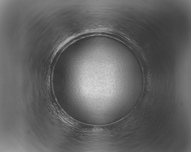 X0000085061316200703261154