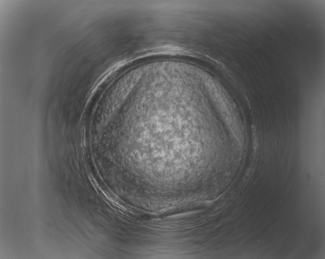 X0000085061318200703261154