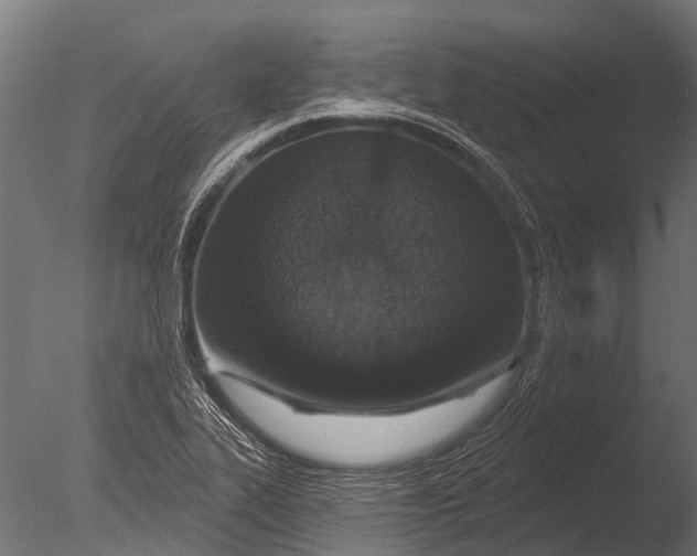 X0000085061319200703261154