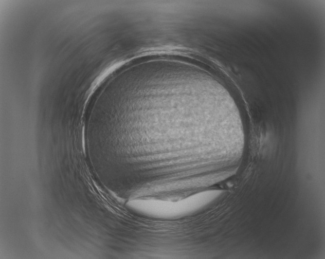 X0000085061320200703261154