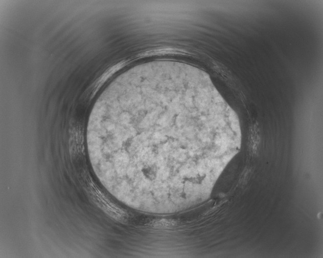 X0000085061321200703261154