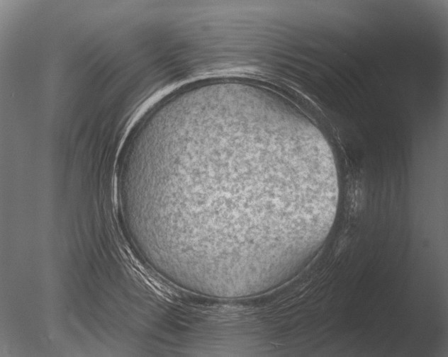 X0000085061324200703261154