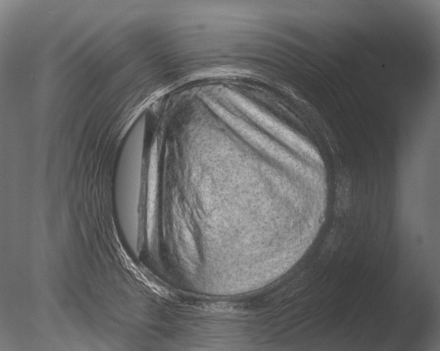 X0000085061329200703261154