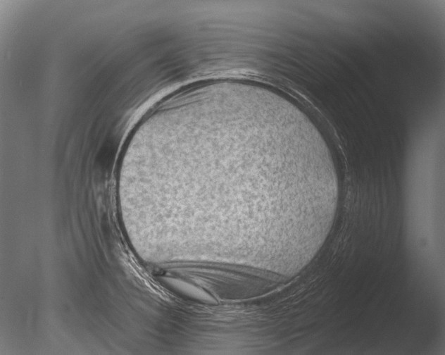 X0000085061332200703261154