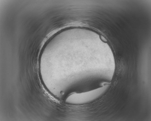 X0000085061335200703261154