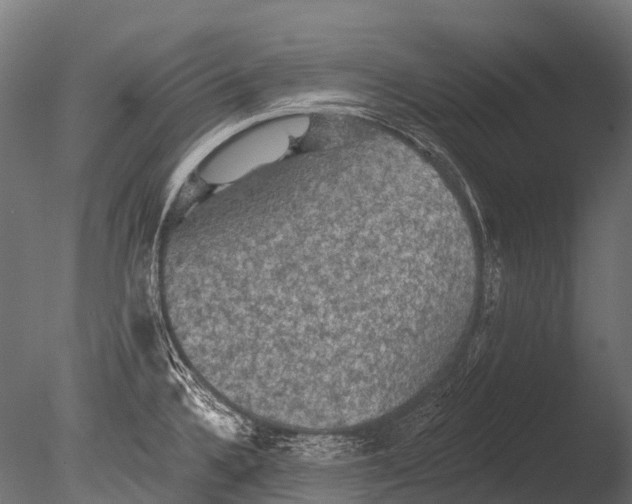 X0000085061336200703261154