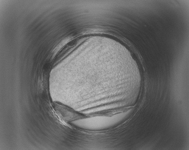 X0000085061337200703261154