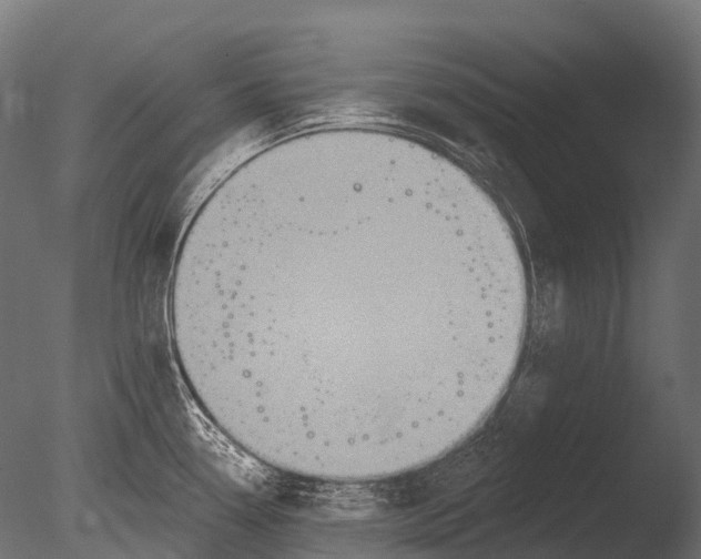 X0000085061338200703261154