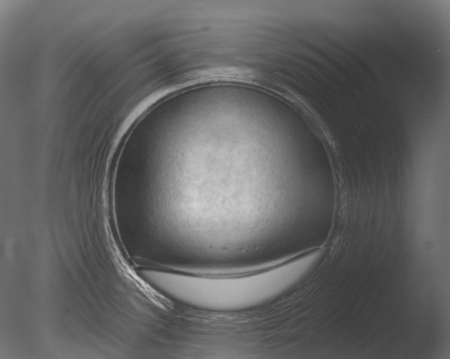 X0000085061339200703261154