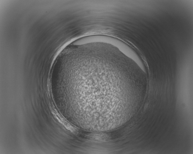 X0000085061340200703261154