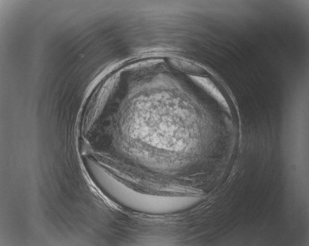 X0000085061341200703261154