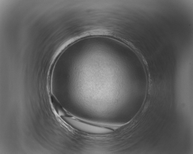 X0000085061342200703261154