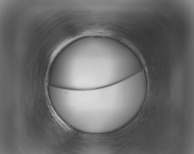 X0000085061344200703261154